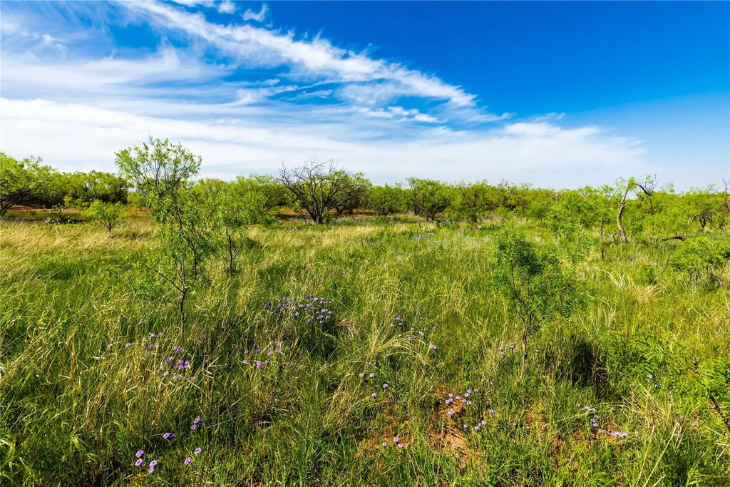 564 County Road  321, Abilene