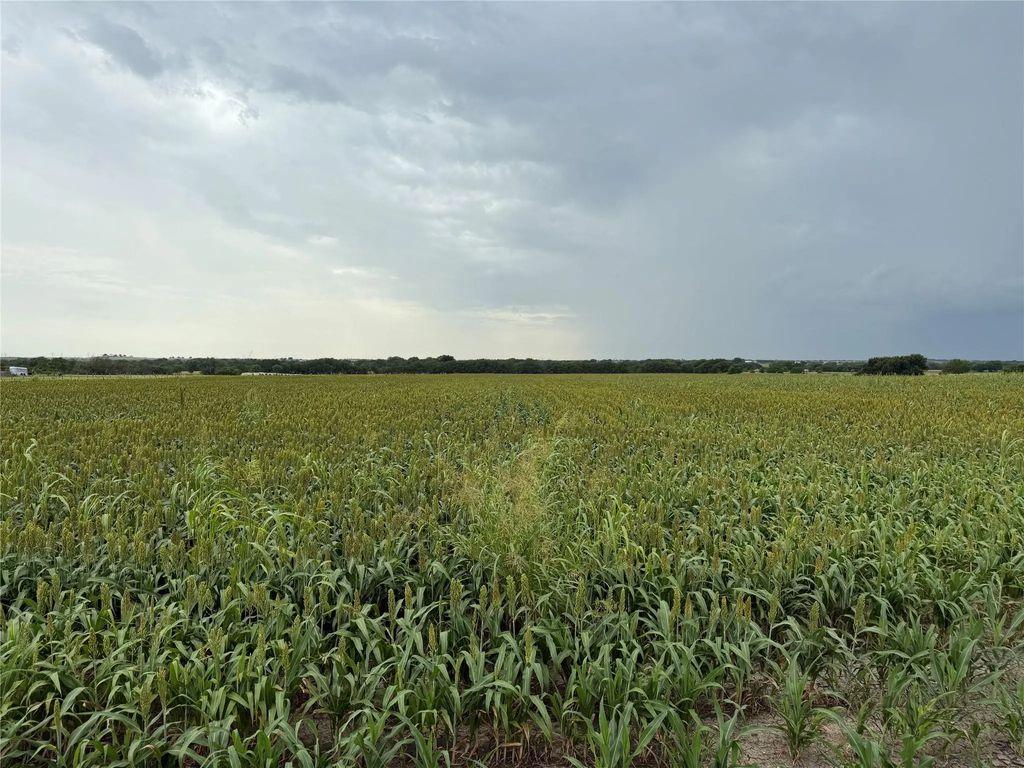 County Road 237, Gainesville