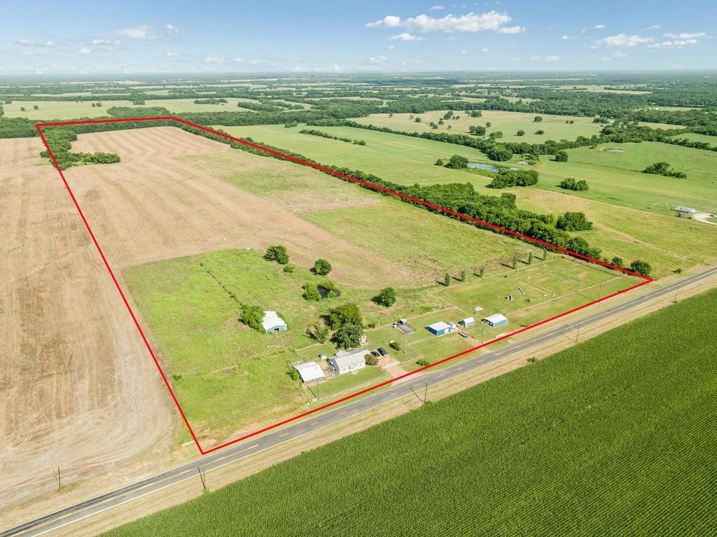4085 S Fm 196, Blossom