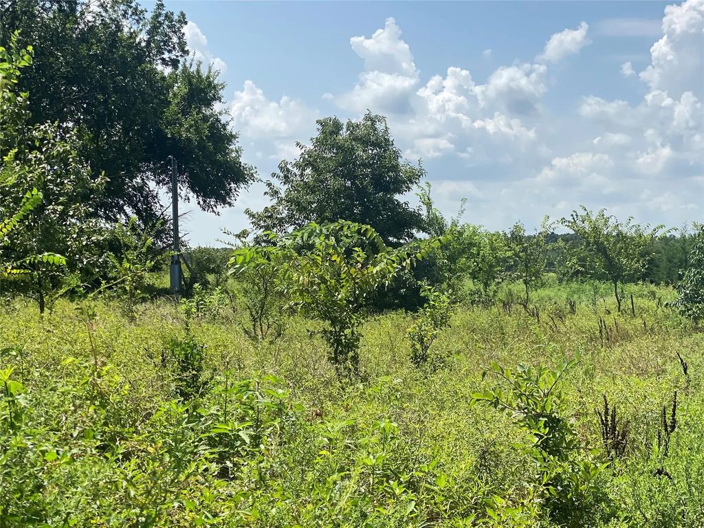 921 County Road 2285, Telephone