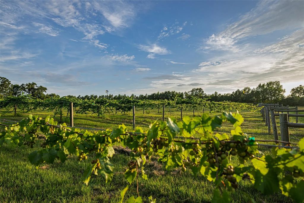 County Road 2138, Troup