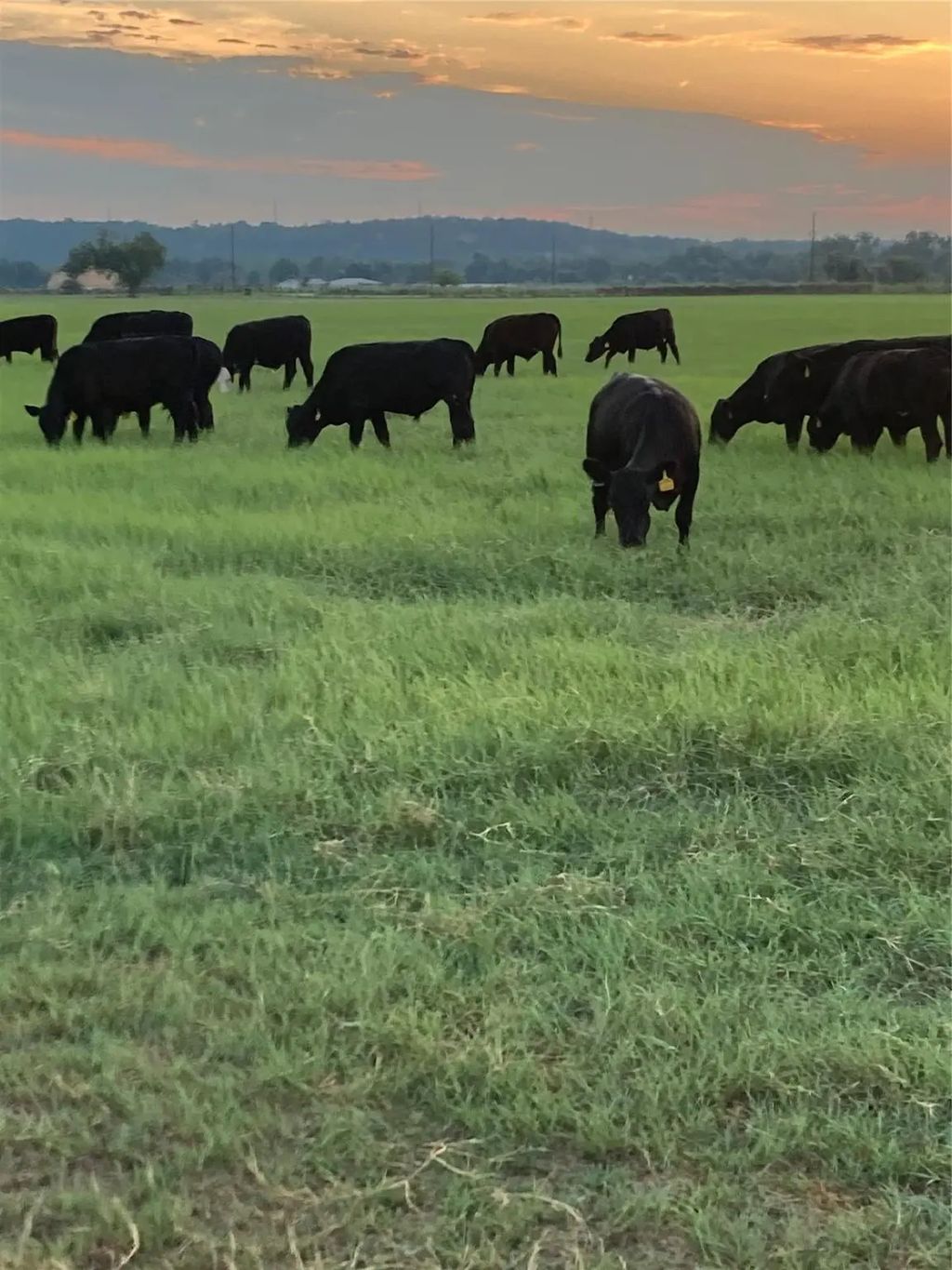 Tbd Big Valley Circle, Lipan
