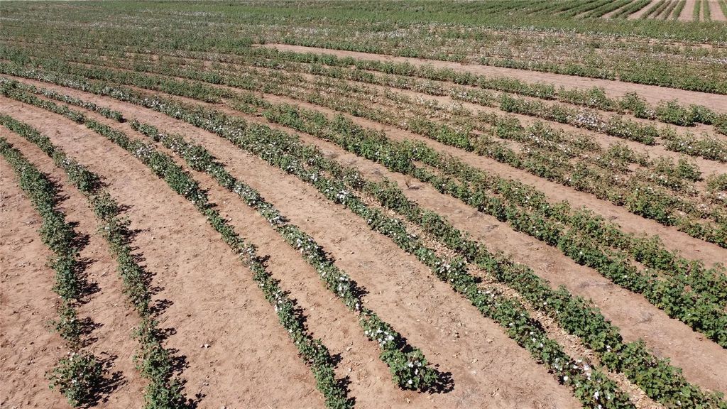 462 +/-ac  Fm 1225, Haskell