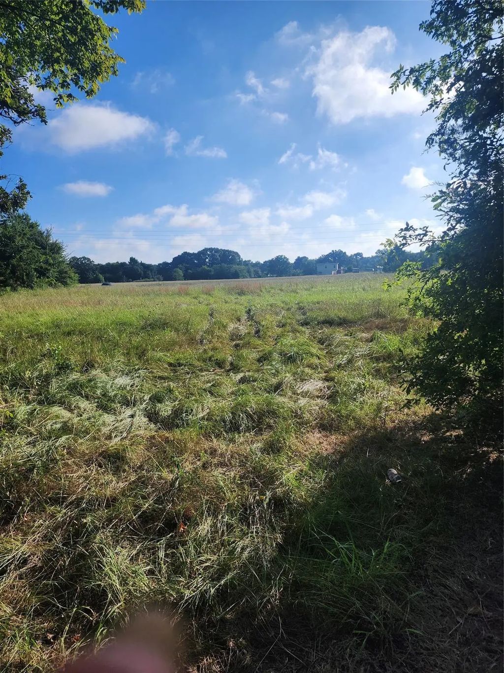 Tbd Vz County Road 1215, Grand Saline