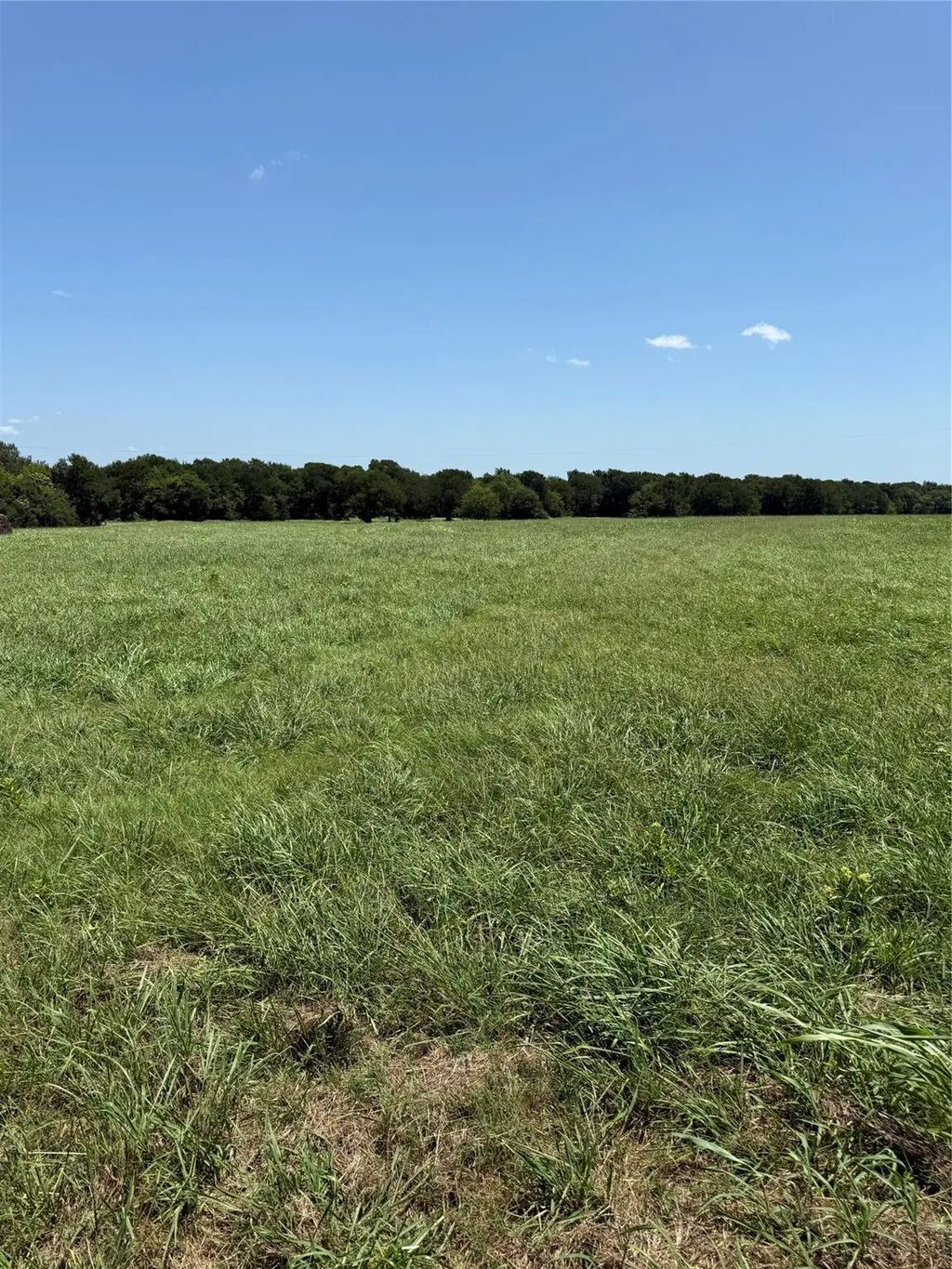 Tbd Lot 7 County Road 3811, Wills Point
