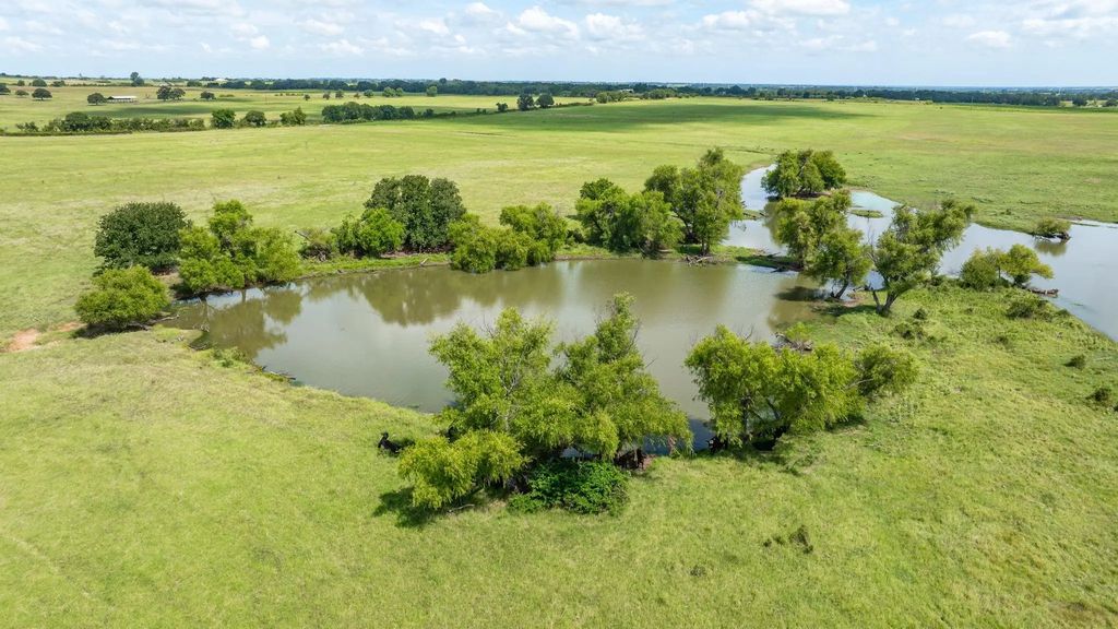 Tbd Farm Market-2921, De Leon