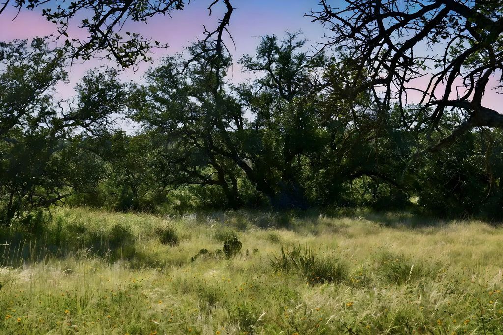 1 Cave Wells Ranch, Menard