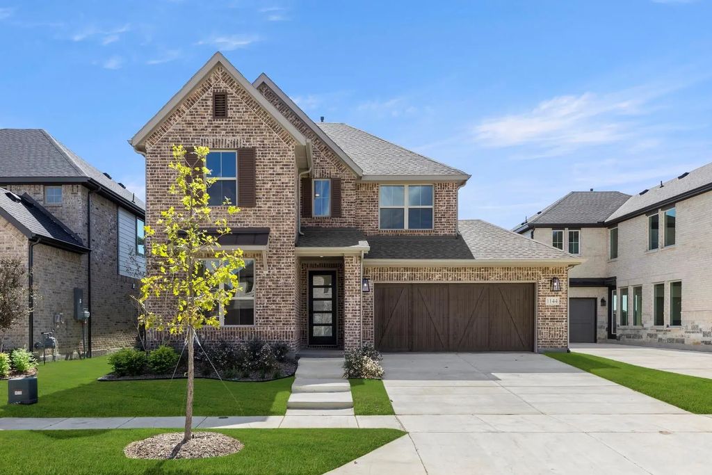 1144 Amaryllis, Little Elm