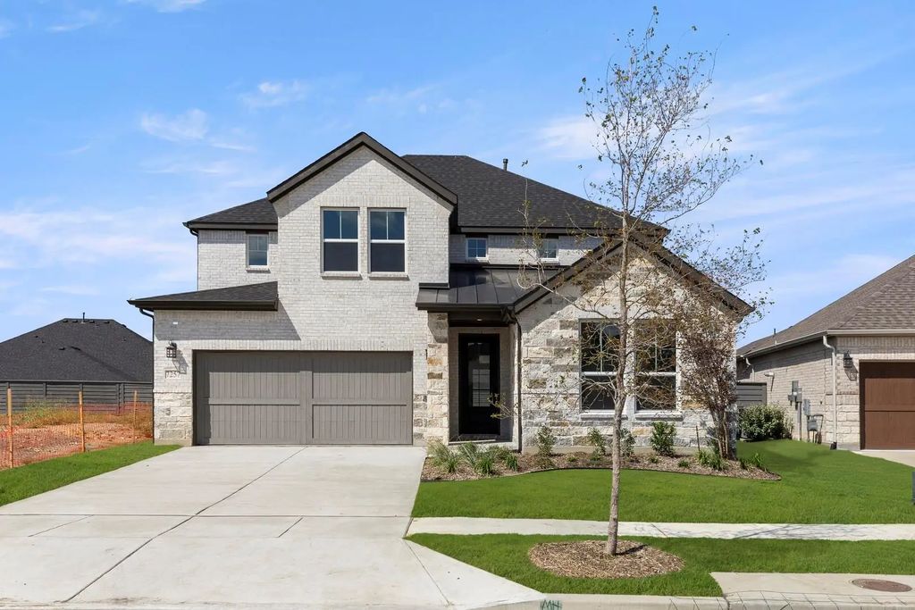 7257 Ladybug, Little Elm