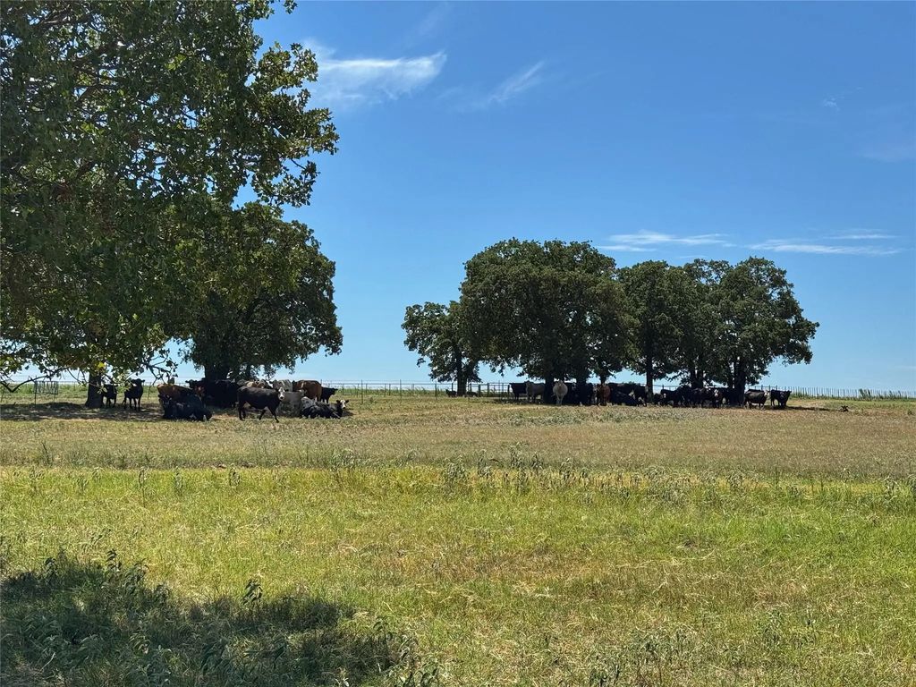 3991 Lone Star Road, Poolville
