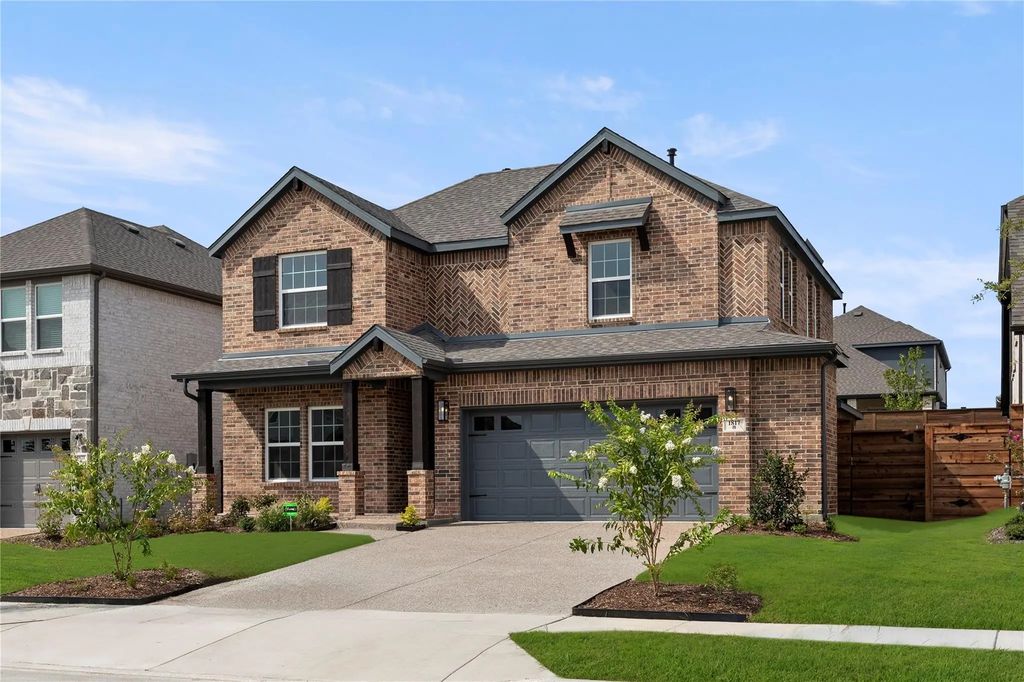 1817 Jasmine June, Mesquite