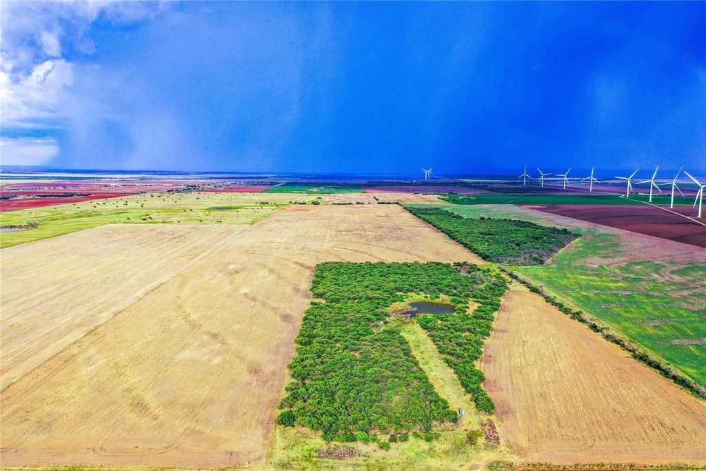 Tbd Cr 291, Weinert