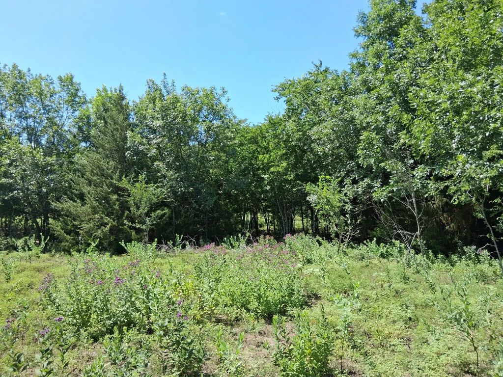 241 Texas Drive, Palmer