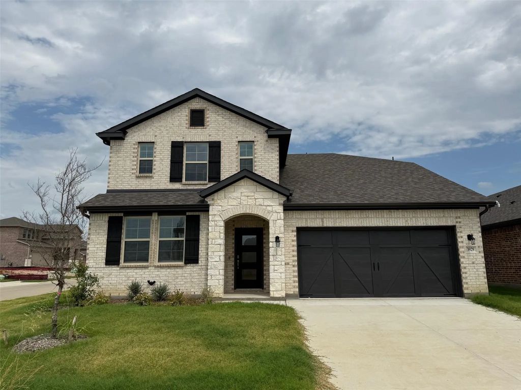 3929 Jasper, Celina