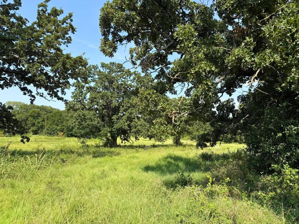 3634 County Road 401b, Alvarado