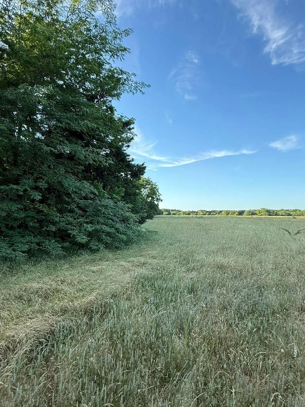 Lot 13 Fm-3236, Sulphur Springs