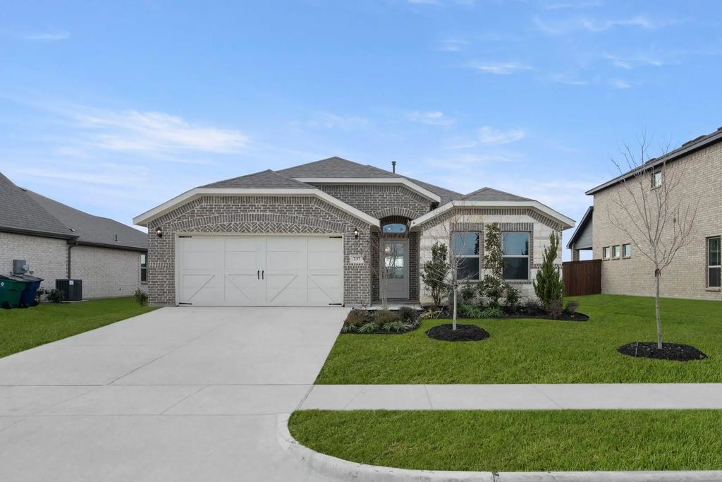 737 Scarlet Sage, Waxahachie