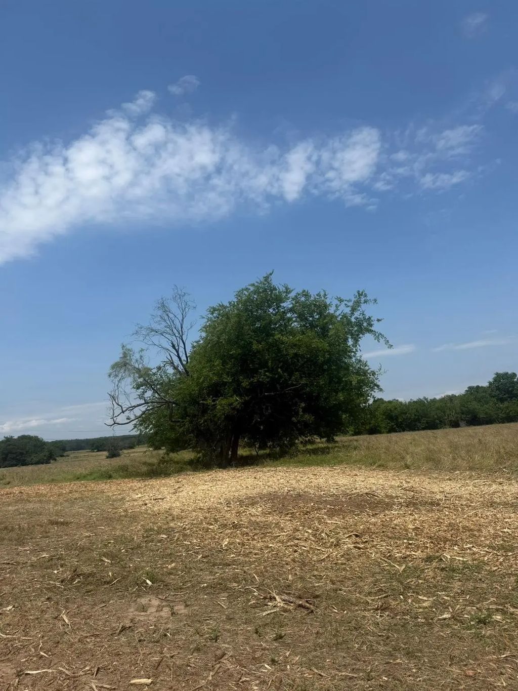 Tract 5 County Road 3562, Dike