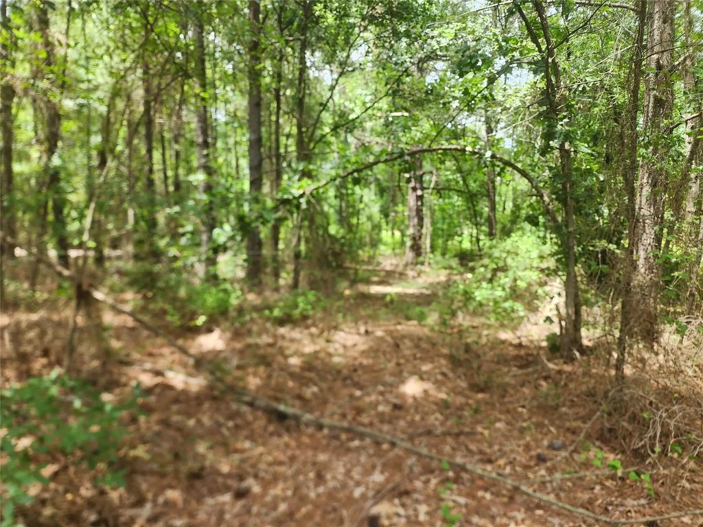 9999 County Road 2140, Quitman