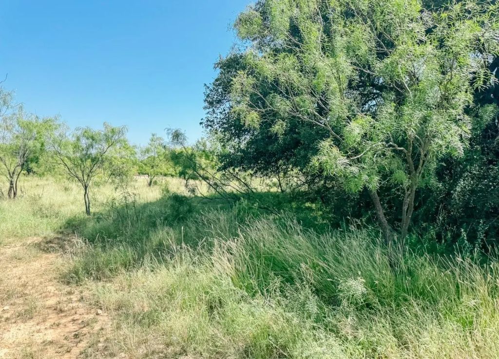 Lot 4 Morris Sheppard Drive, Brownwood