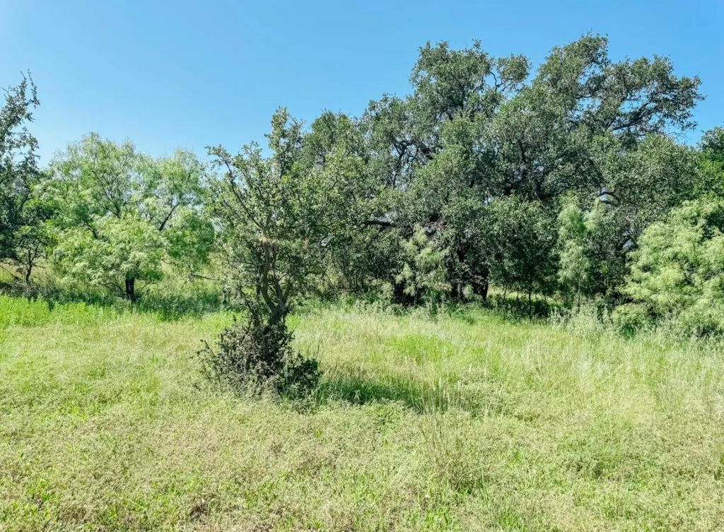 Lot 5 Morris Sheppard Drive, Brownwood