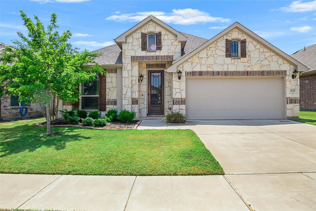 1132 Snowy Owl Drive, Alvarado