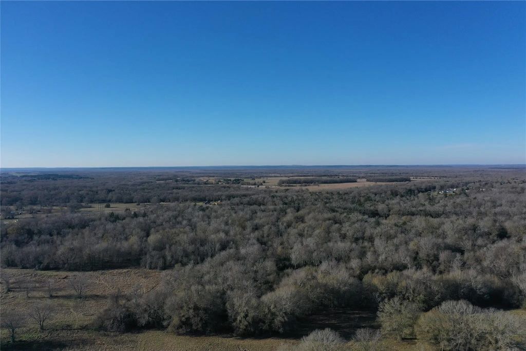 Tract 2 Fm 321, Tennessee Colony