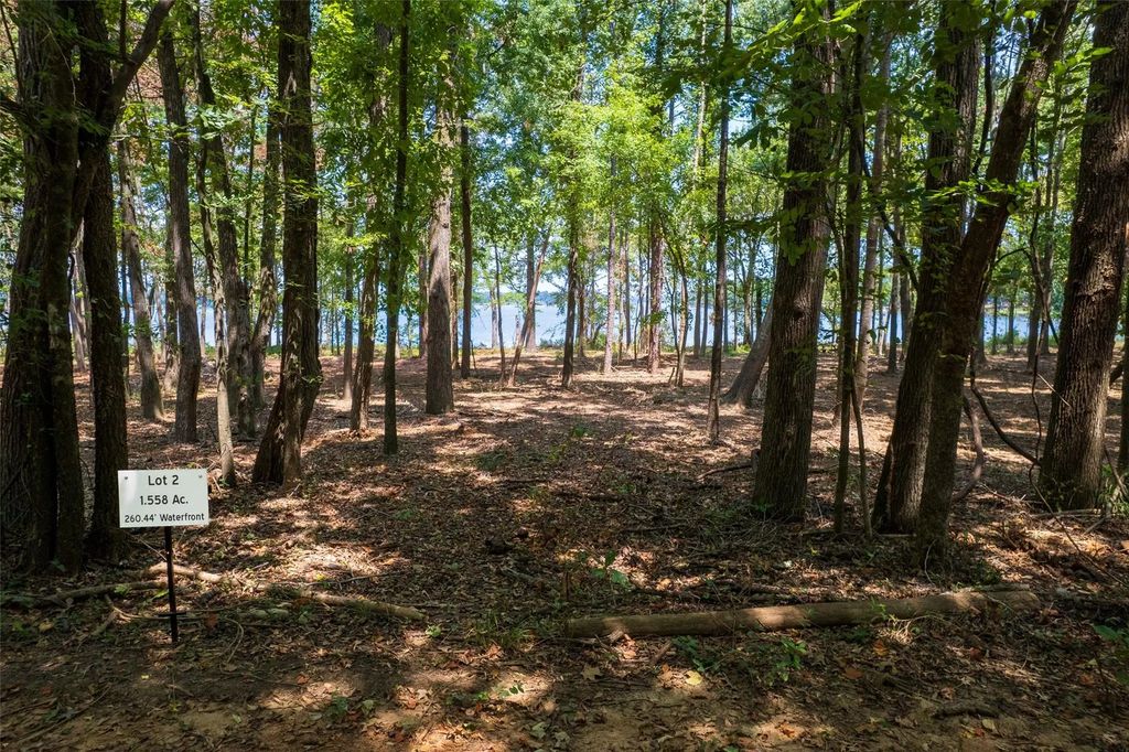 Tbd Pvt Rd 52447, Leesburg