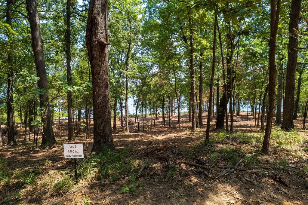 Tbd Private Road 52447, Leesburg