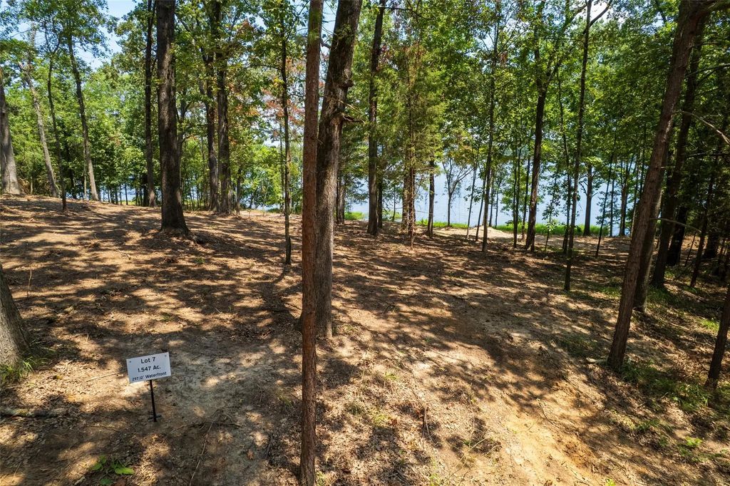 Tbd Pr Rd52447, Leesburg