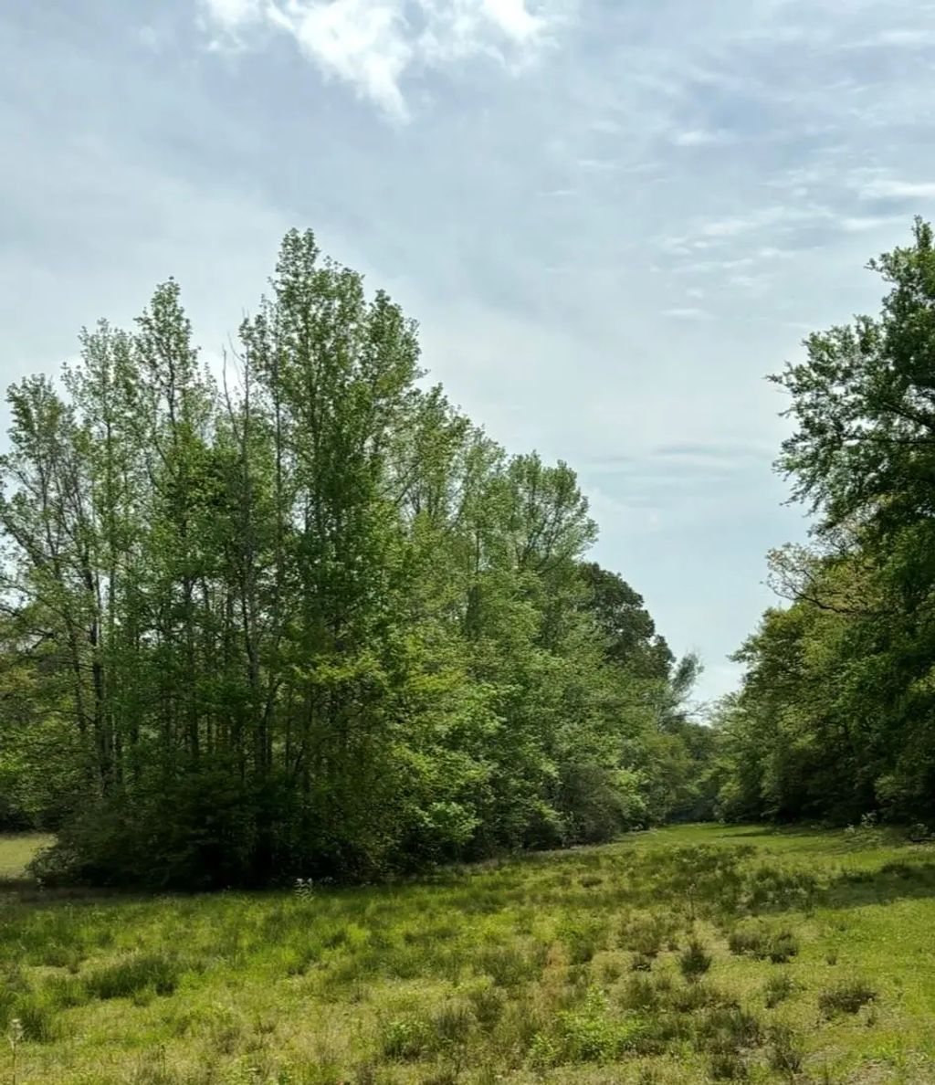 Tbd 013 County Road 242, Oakwood