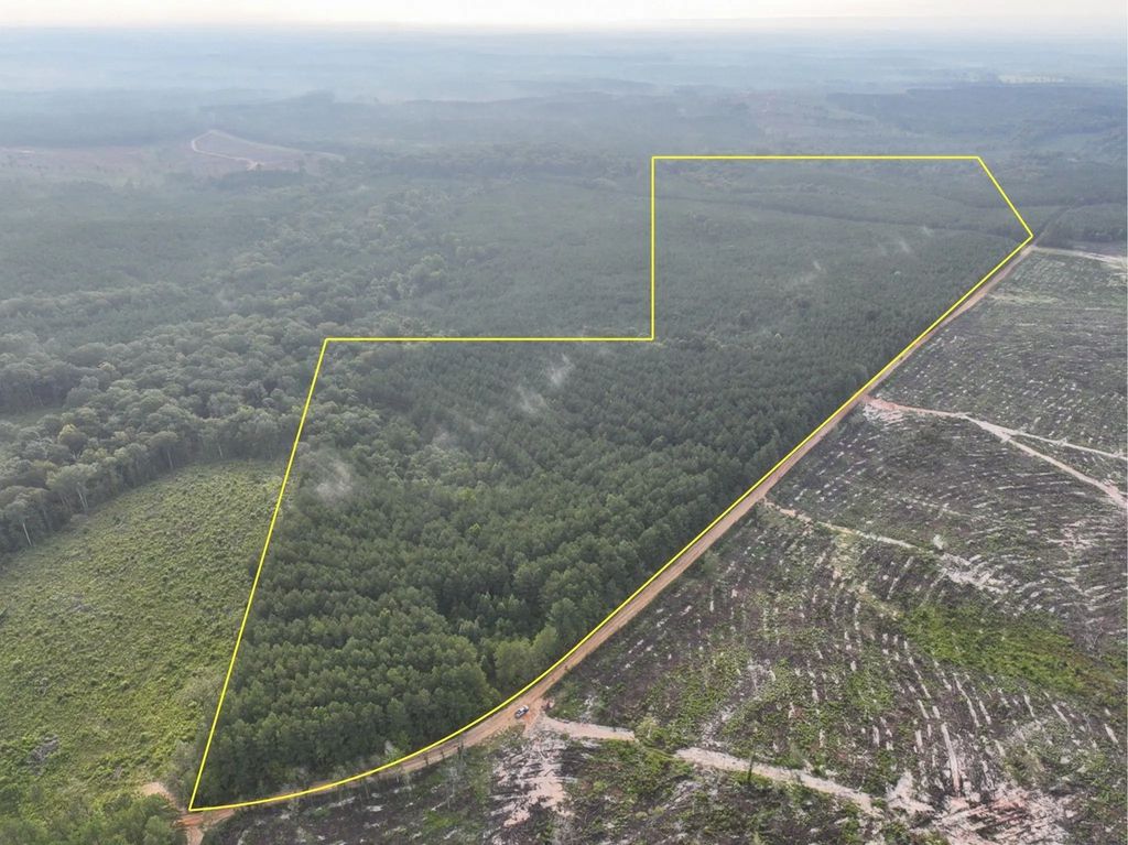 2 Red Rock Road, Robeline