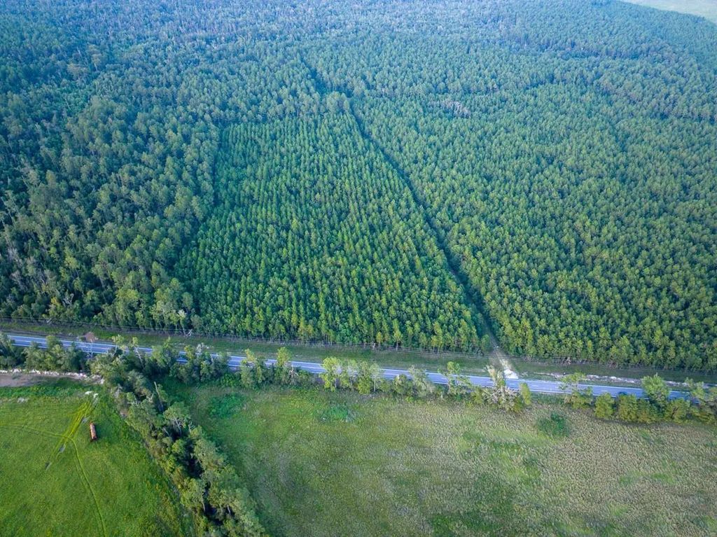 T-1 Starks Big Woods Rd., Lake Charles