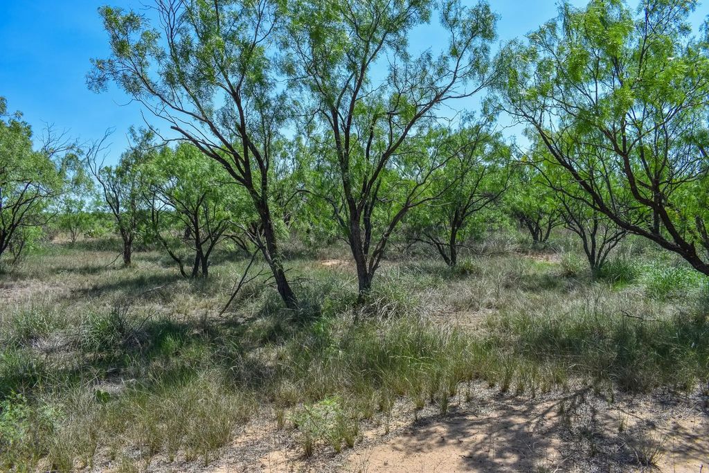 14 Acres E Fm 765, Lohn