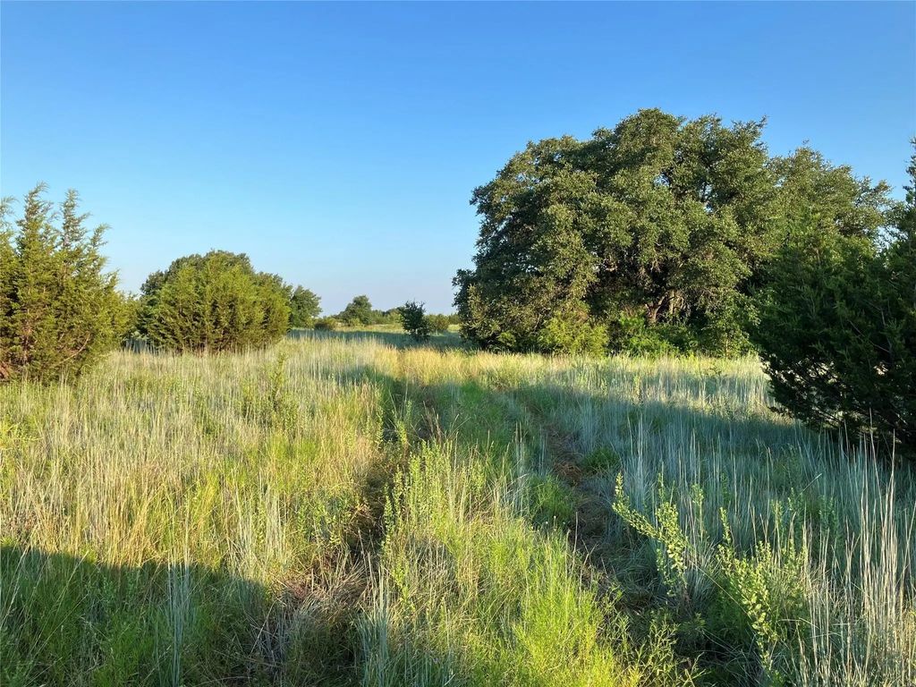 Tract 19 County Road 493, Desdemona