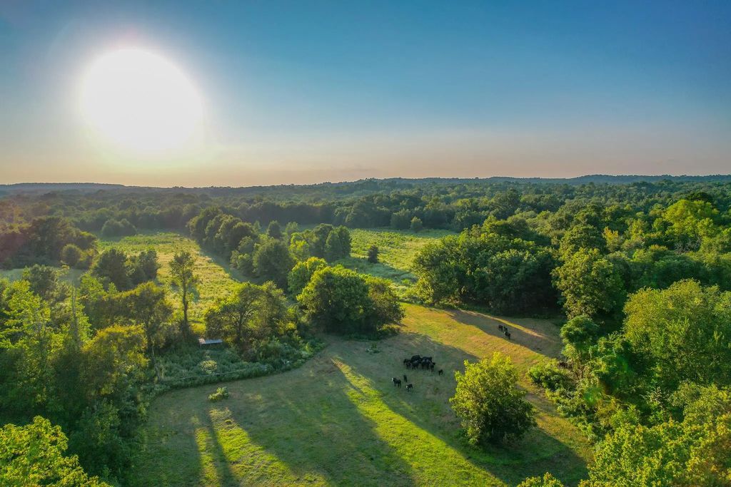 County Road 1804, Jacksonville