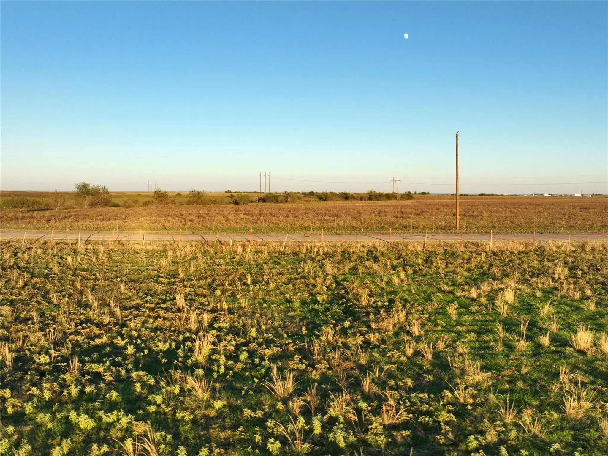 Photo of Listing #21043824
