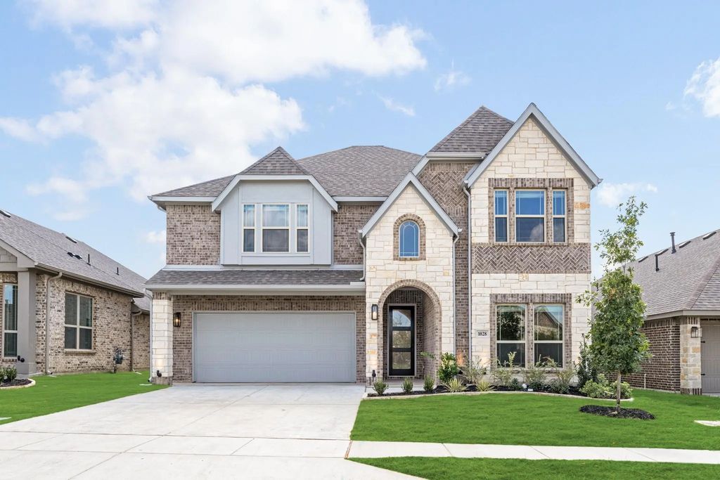 1028 Snowy Owl Drive, Alvarado