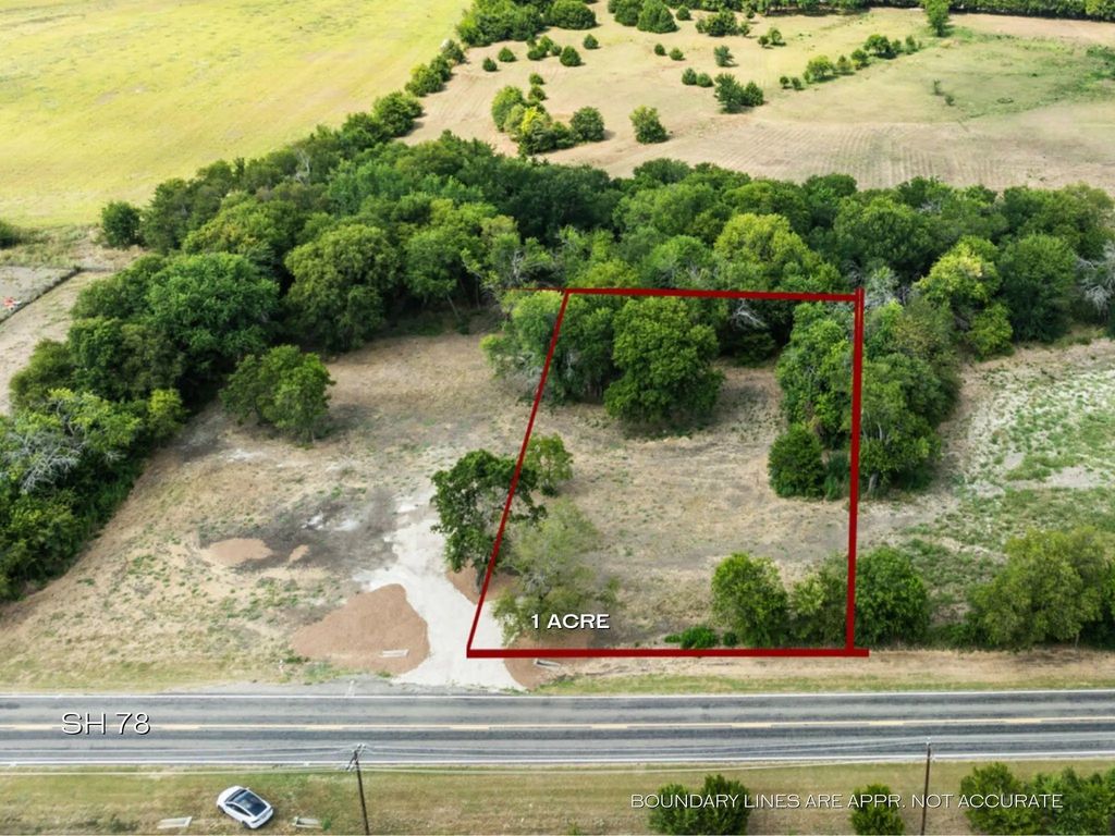 Tbd Lot 4 S State Hwy 78, Leonard