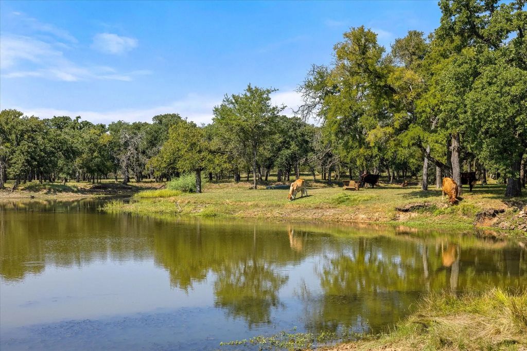 11230 Light Road, Lipan