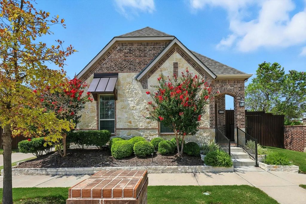 8769 Ludlow Drive, Frisco