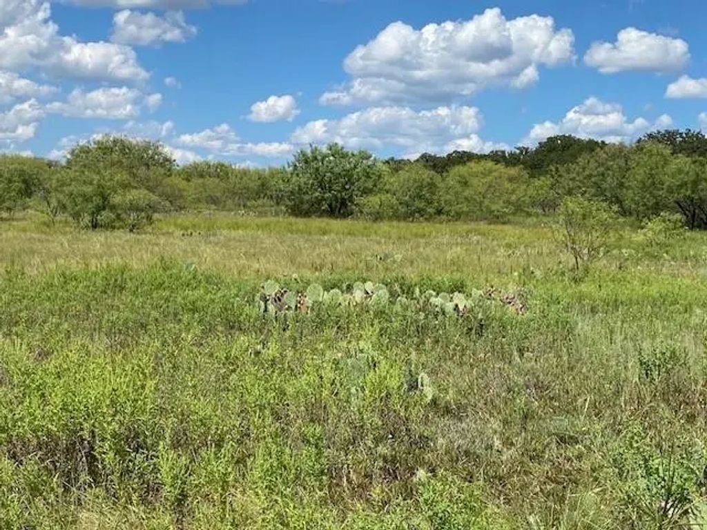 County Road 334, Blanket