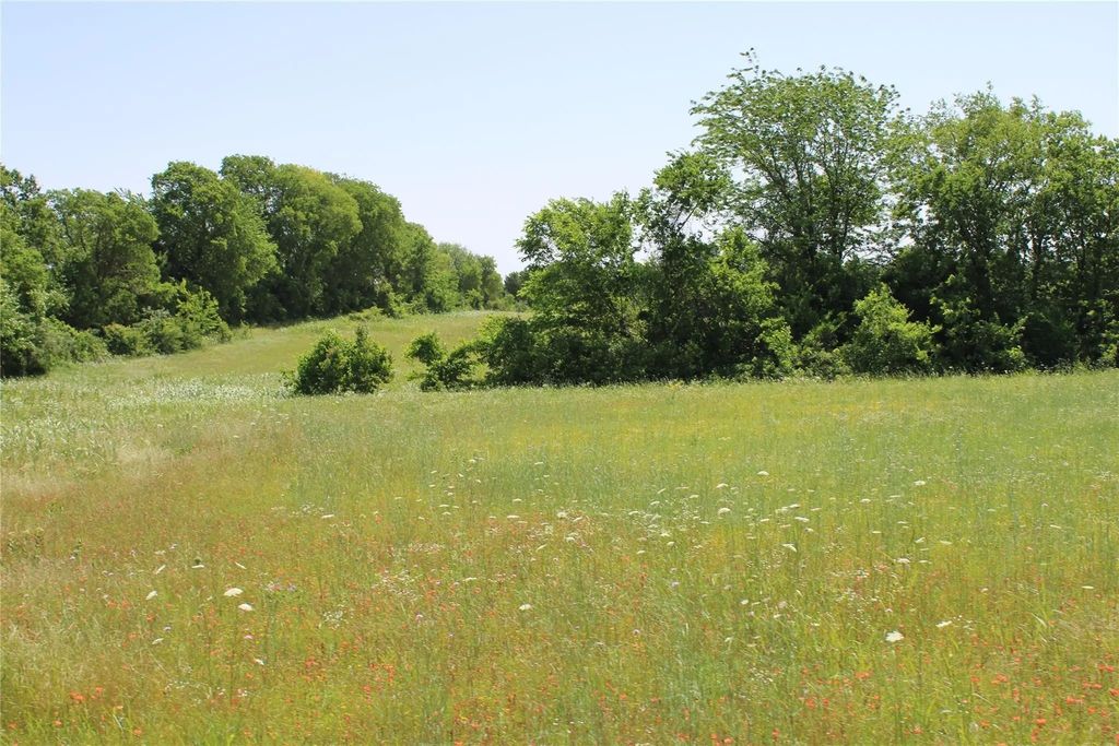 Tbd 1233 County Road 3210 Street, Dodd City