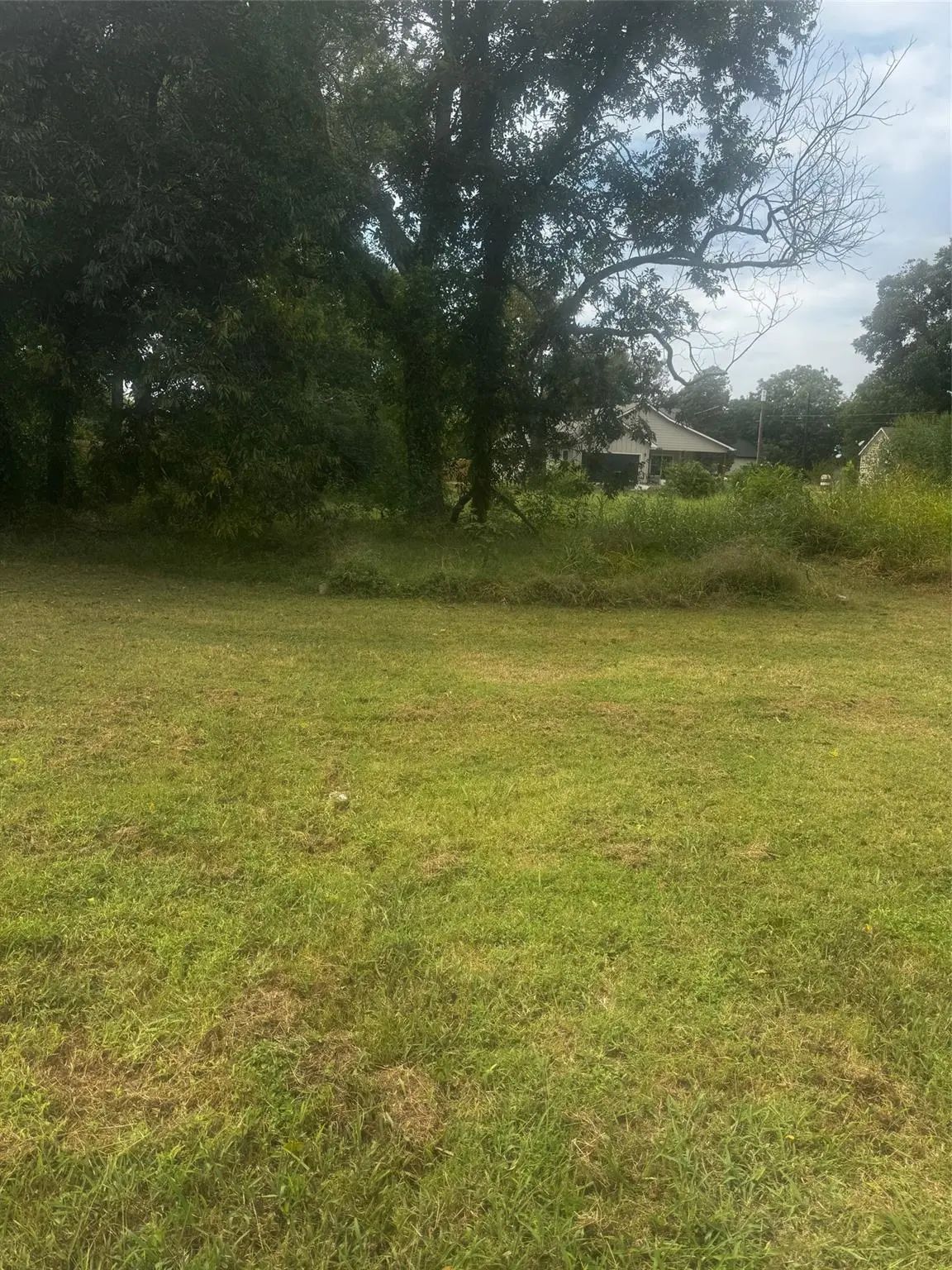 Photo of Listing #21051916