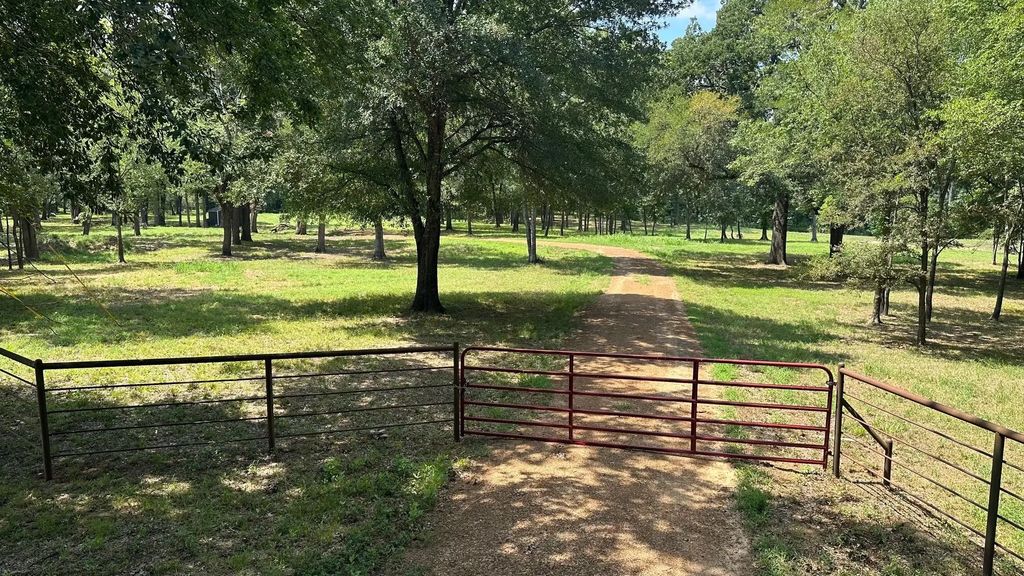 County Road 2436, Sulphur Springs