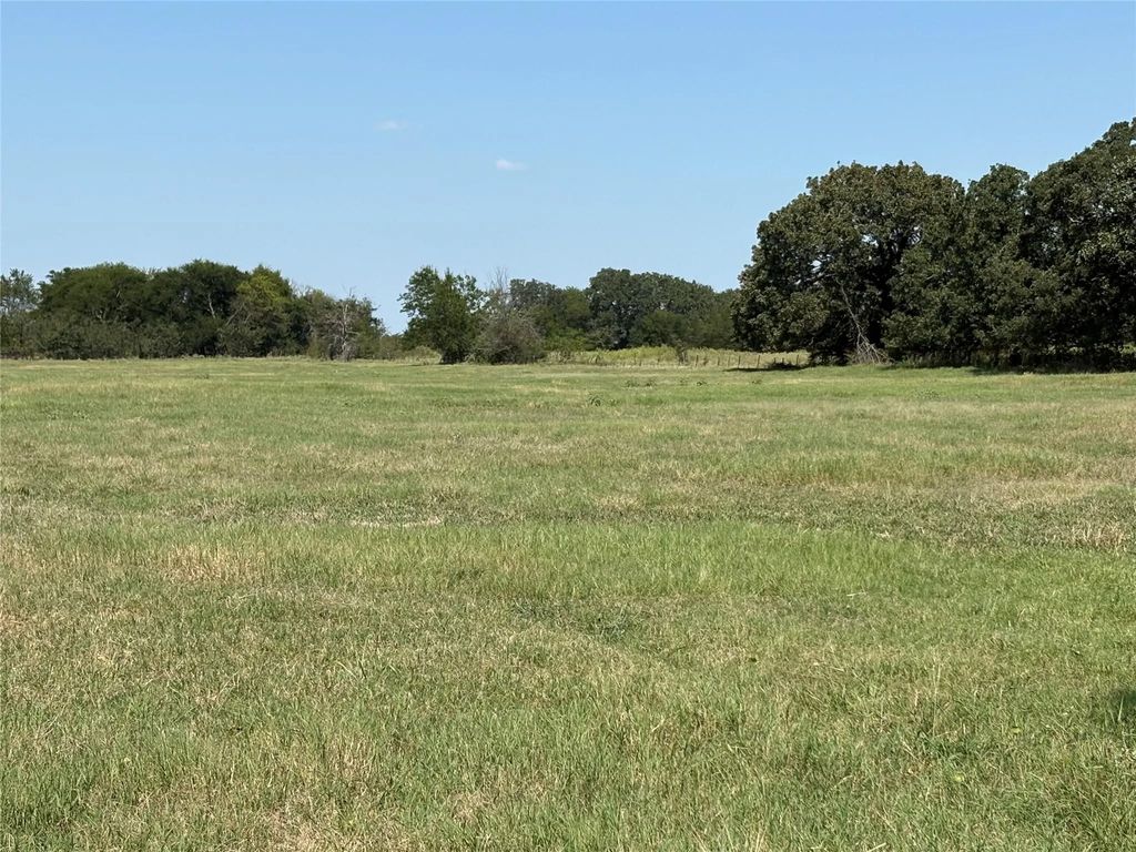 Tbd 3 County Road 1168 Tract 3, Brashear