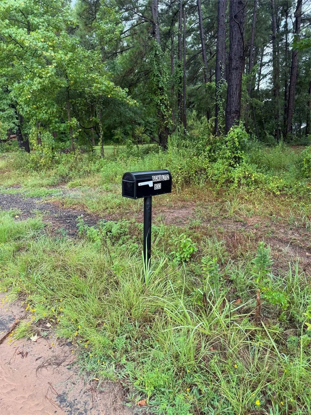 833 Cr 3639, Big Sandy