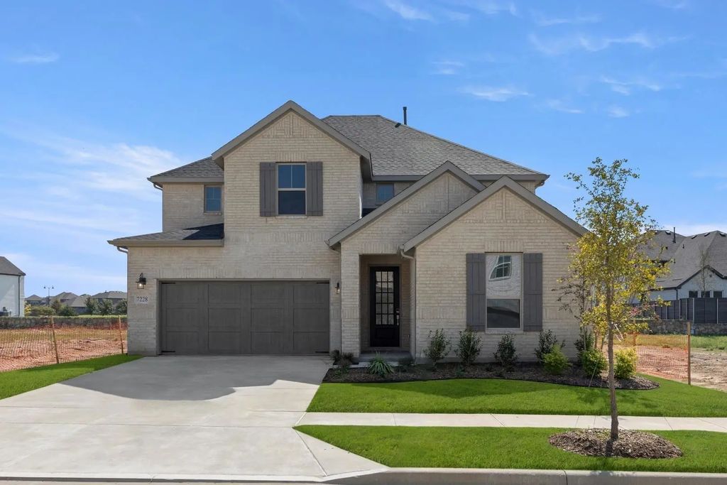 7228 Ladybug, Little Elm