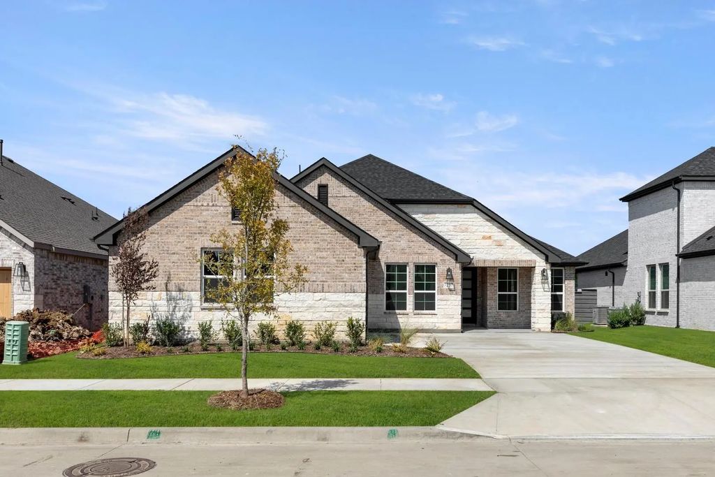 7257 Camilla, Little Elm