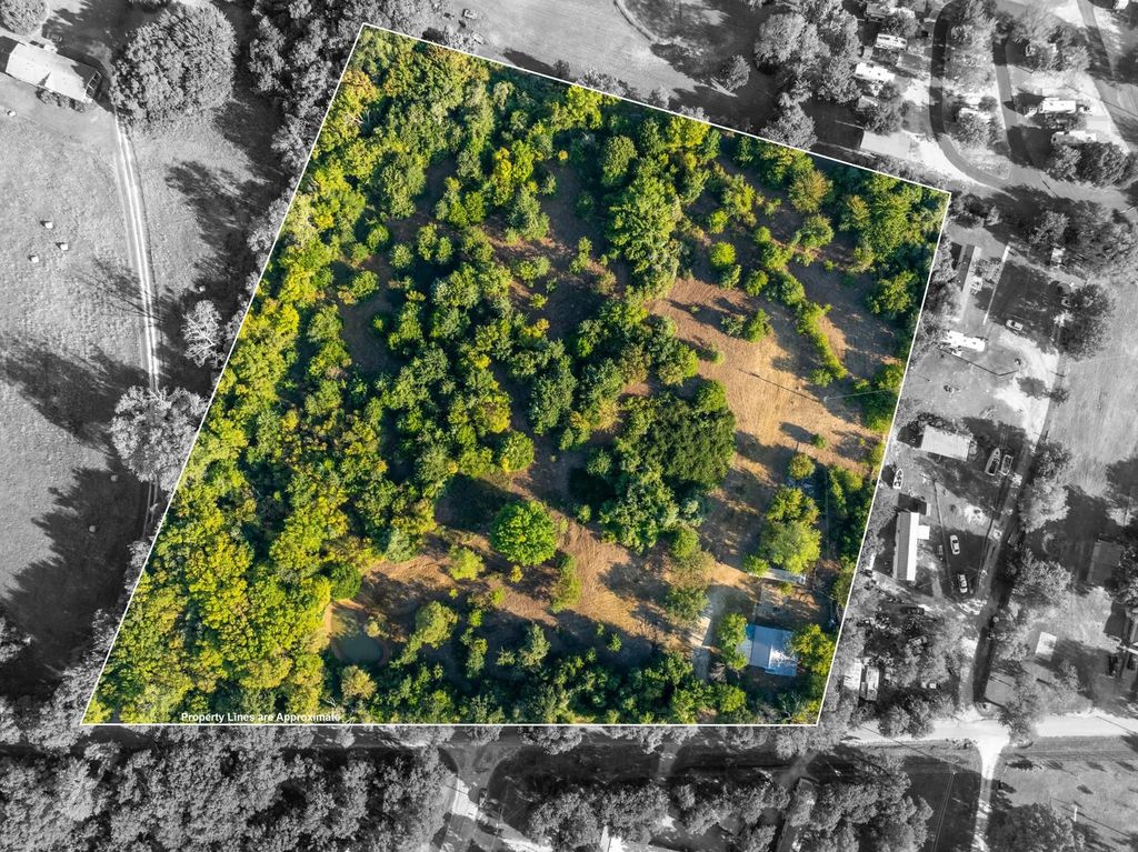 6045 Cr 319, Alvarado